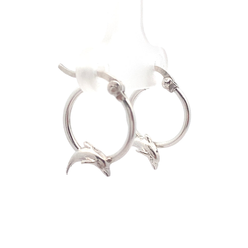 
                      
                        Plain Hoop with Dolphin Earrings
                      
                    