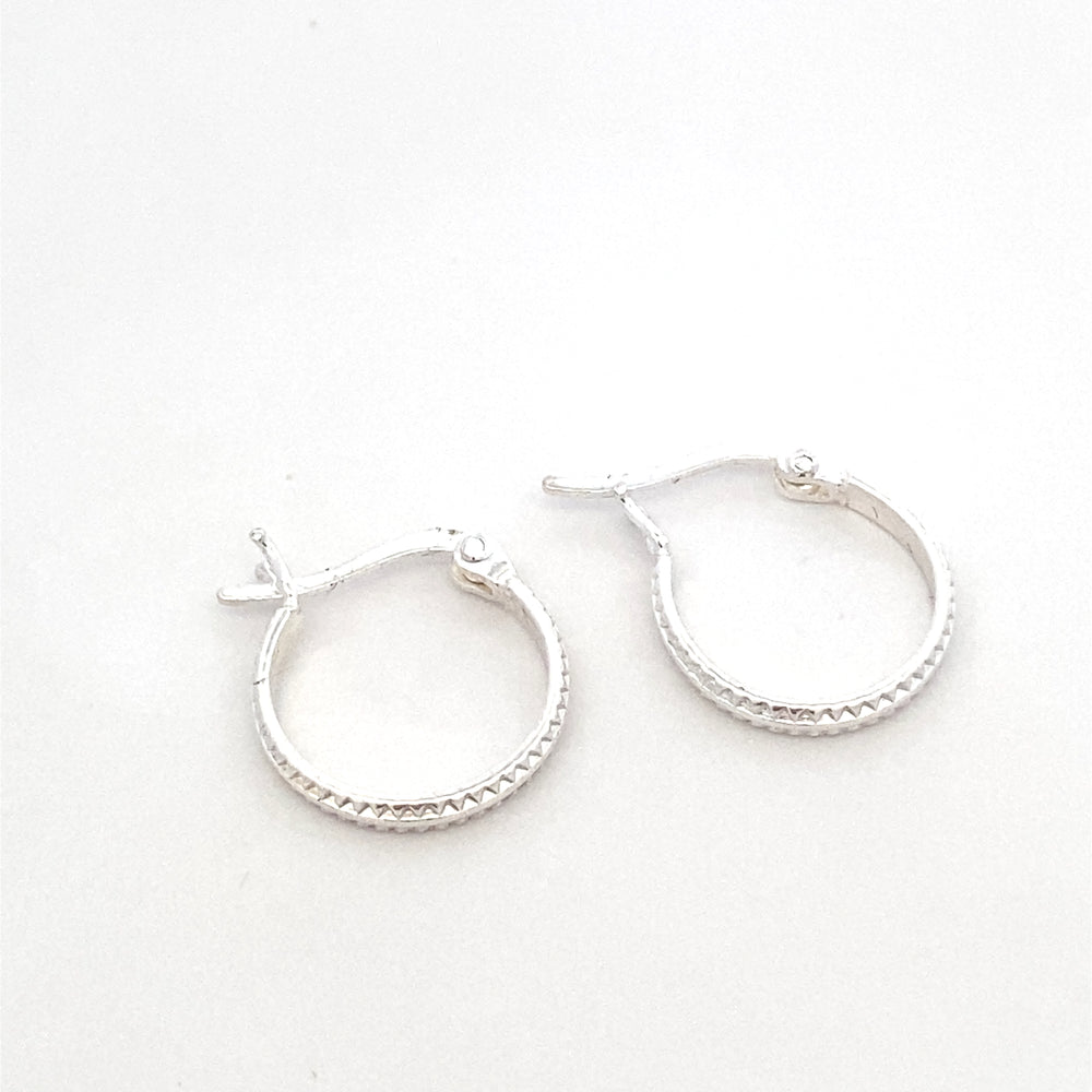 
                      
                        Zipper Hoop Earrings
                      
                    