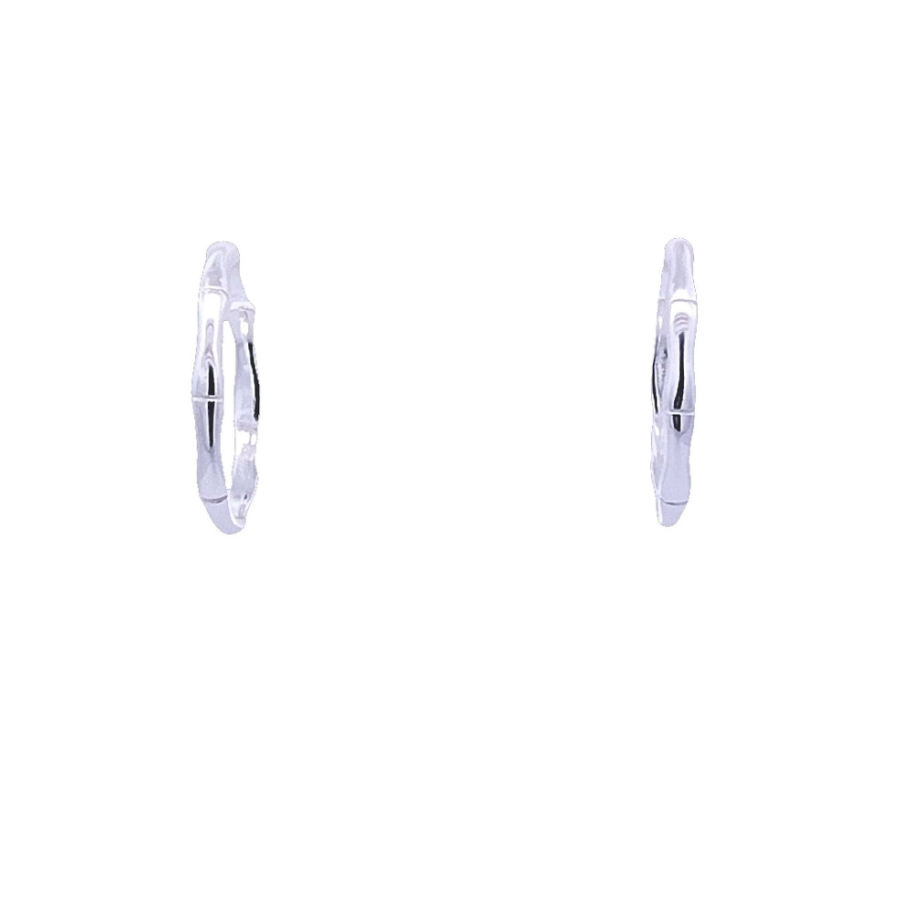 
                      
                        E7686 C-HOOP EARRING 3.87G
                      
                    