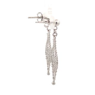 
                      
                        Medazzaland Silver Stud Earrings
                      
                    