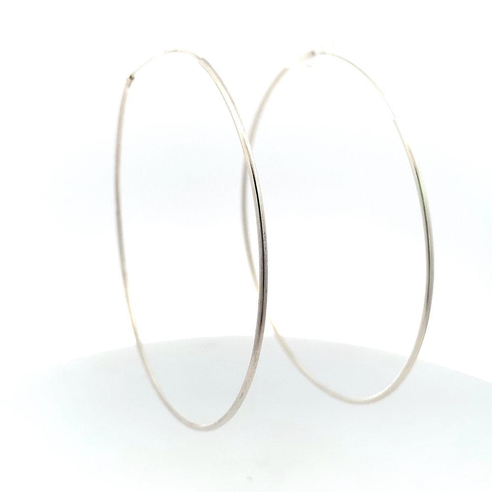 
                      
                        Large Slim Hoop Earrings For Women E3369
                      
                    