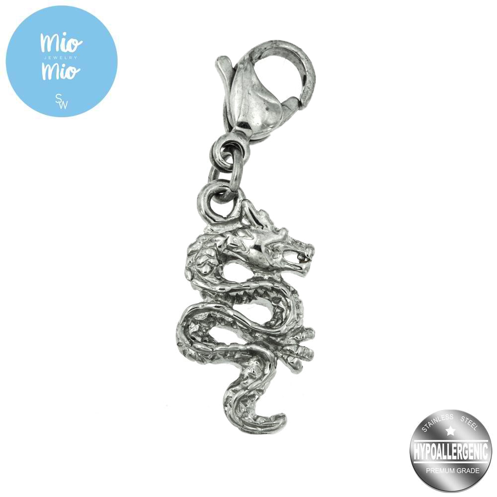 Danny Dragon Chinese Zodiac Stainless Steel Charm | SilverWorks