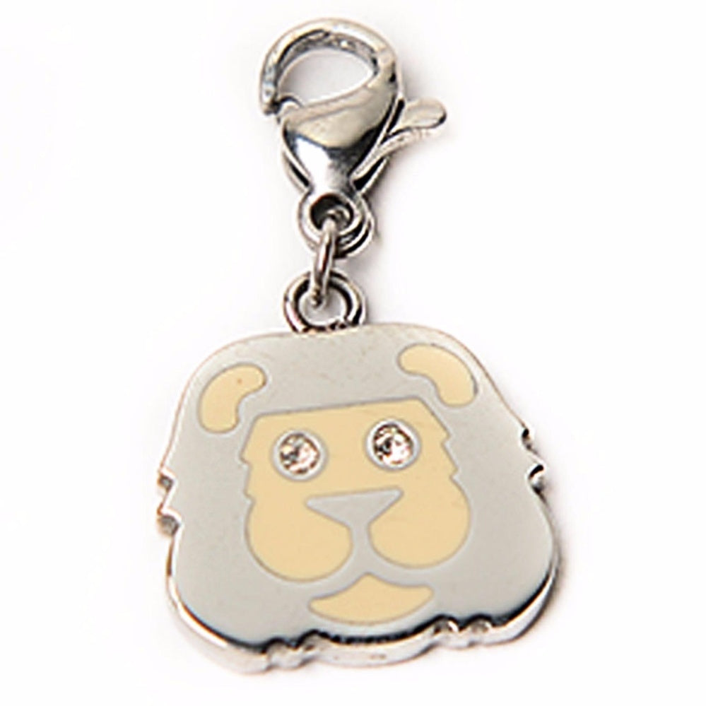 Lion Head Stainless Steel Hypoallergenic Charm Philippines | Silverworks